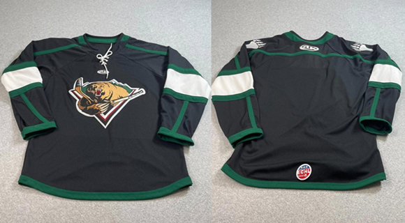 Men's Utah Grizzlies AK Blank Black Stitched Hockey Jersey